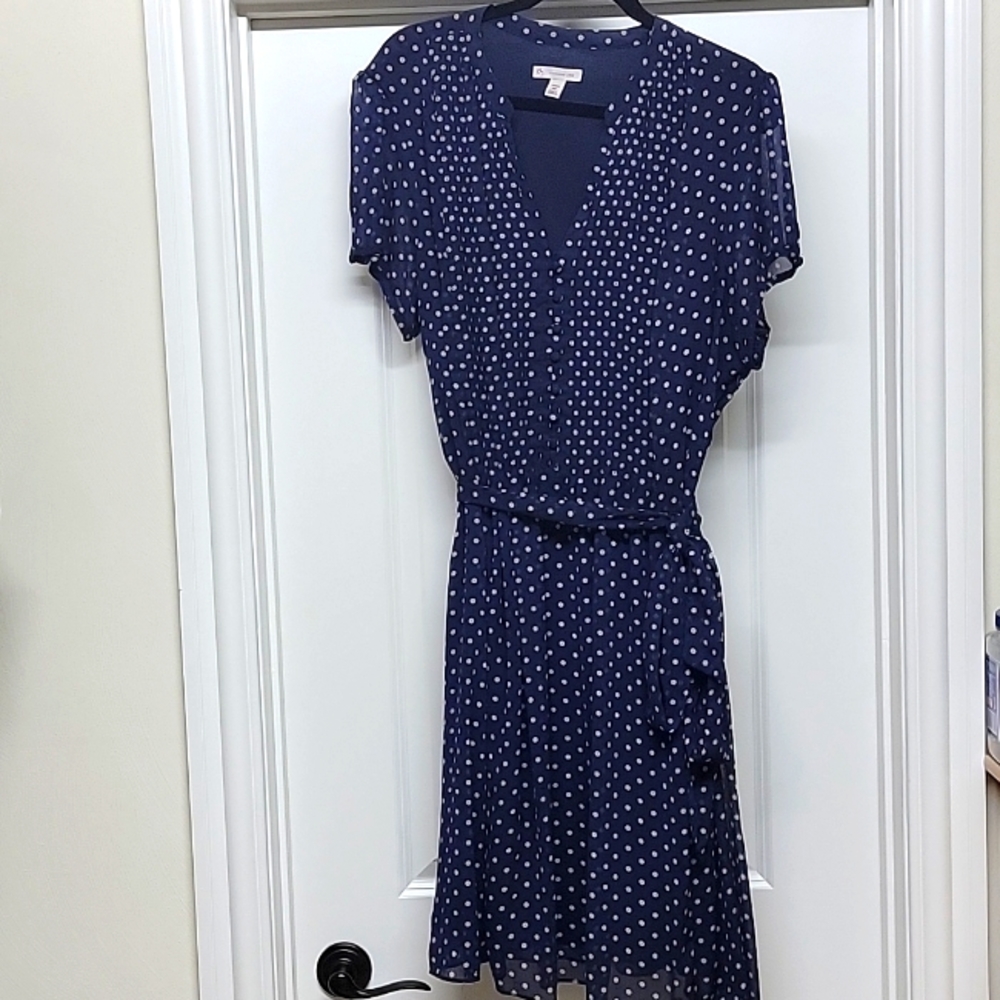 24W Navy Polka-dot Dress